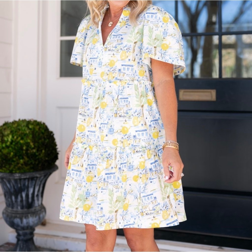 Avara Evan Cotton Mini Dress XS Yellow Blue Lemon Print Tiered Babydoll NWT